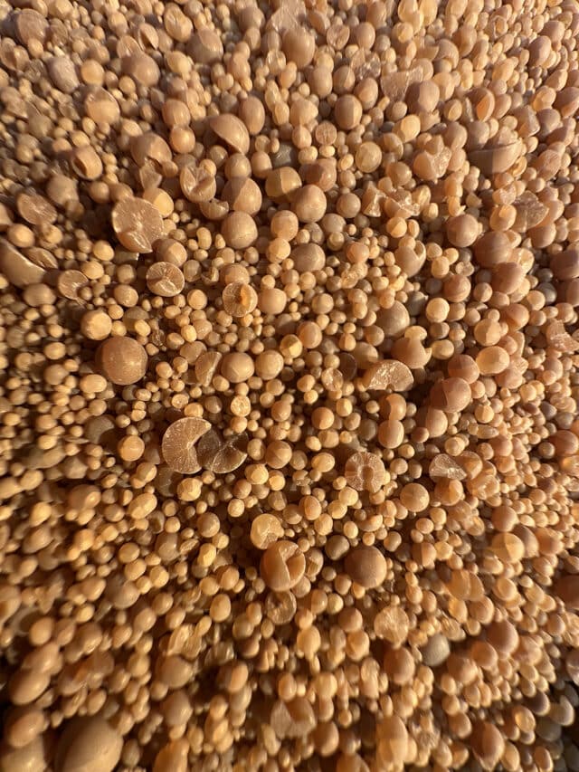 Kalk Voor Op Sedumdaken 4kg